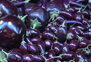 brinjal