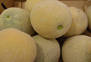 muskmelon
