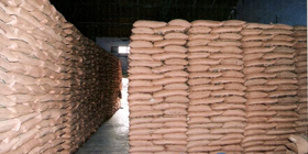 Seed Production