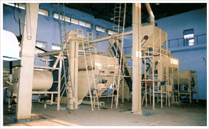 seed production