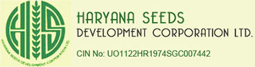 Municipal Corporation Logo